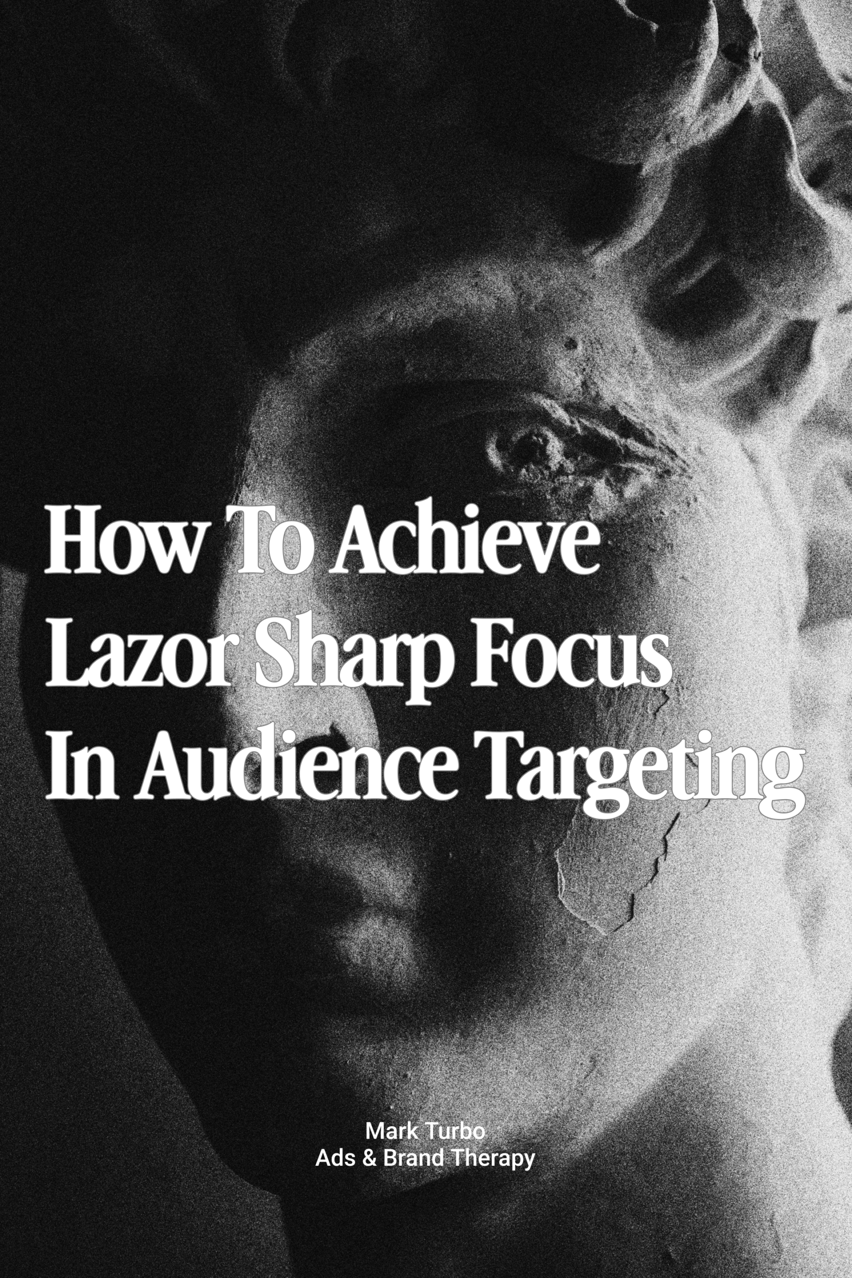 Laser sharp focus in audience targeting strategy by Mark Turbo